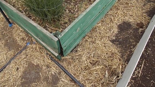 Про высокие грядки - размышления после замены на шифер 1 часть. смотреть онлайн