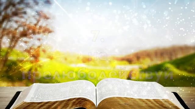 Христианская песня для детей - 10 заповедей