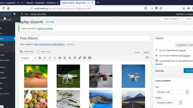 Wordpress Foto Album Sayfası eklemek смотреть онлайн