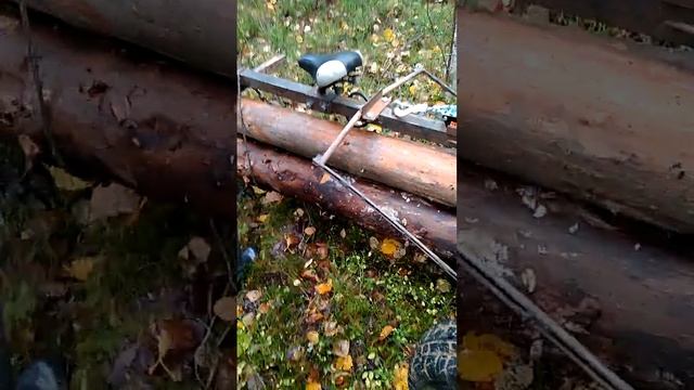 заготовка валежника. осень 2019 год. смотреть онлайн