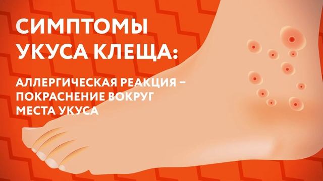 Забавные Моменты с Пушистыми Парнями