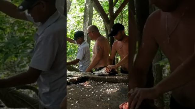 Рыбалка в Астрахани 2020 год с егерем на катере смотреть онлайн