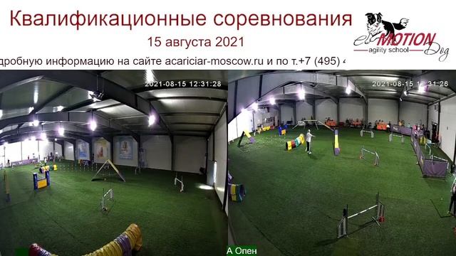 Квалификационные соревнования в Манеже СТРОГИНО 15 августа 2021 г. смотреть онлайн