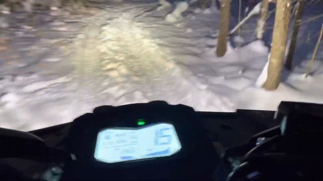 Cfmoto Cforce 1000 Eps. Едем по ночному зимнему лесу. #cforce1000 #cfmoto#зимнийлес#квадроциклы#лес