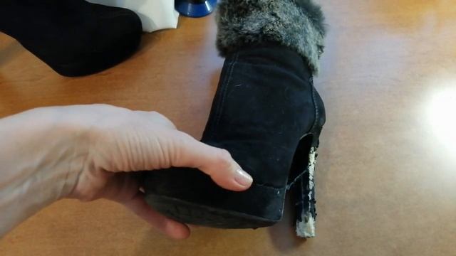 Лабрадор Боня сгрызла каблук на ботильонах