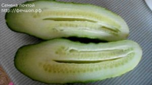 Почему огурцы пустые внутр