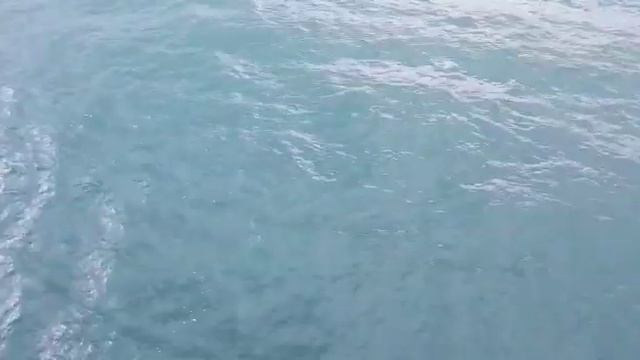 Приключения Русских в Америке Океан(7) смотреть онлайн