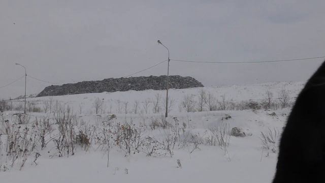 Руфина Шагапова - комментарий к ситуации в Ново-Черкасах смотреть онлайн