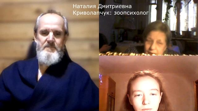 Кинология, зоопсихология, ветеринария, биология о проблемах собак смотреть онлайн