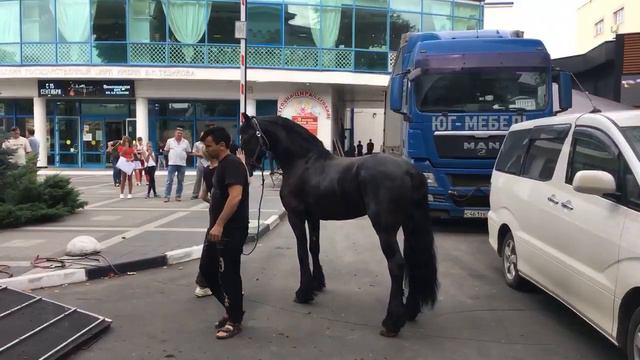 СИМФЕРОПОЛЬ КРЫМ СЕГОДНЯ 9 сентября 2018 смотреть онлайн