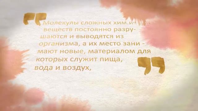 Кто мы ? смотреть онлайн