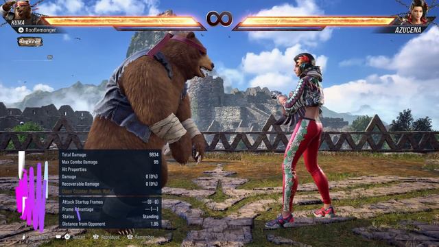Kuma & Panda Ultimate Starter Guide - Tekken 8 смотреть онлайн
