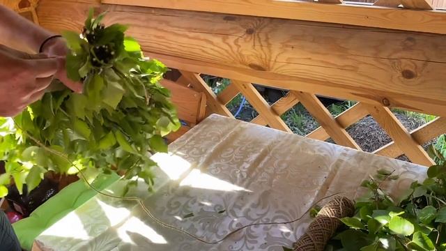 Свежий березовый веник смотреть онлайн