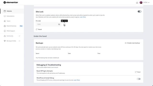 Site Lock with Elementor Hosting: Work Securely on Your Own Terms! смотреть онлайн