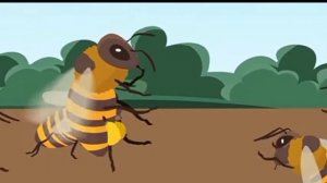 Что находится внутри улья? Как живут пчоли!).