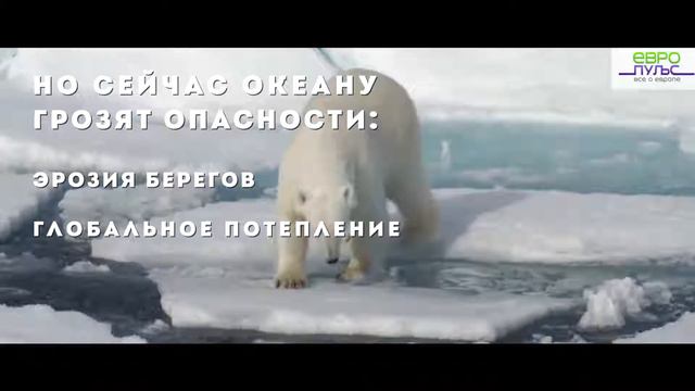 Океан: красота под угрозой смотреть онлайн