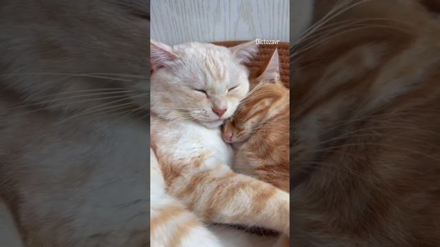 22-04-2024 ну что за женщины, все им мало и мало!