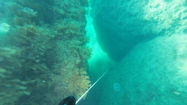 Лисья бухта 2023 июль часть 2 подводная охота 2023 подводная охота Крым 2023 морская охота 2023 смотреть онлайн