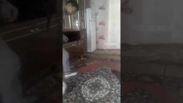 Как сделать финты смотреть онлайн