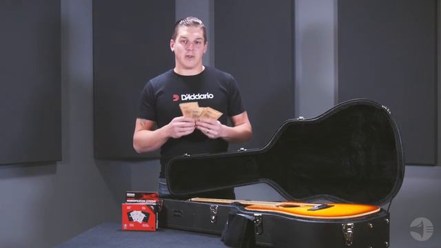 D'Addario Planet Waves D'Addario Planet Waves Two-Way Humidification System Black смотреть онлайн