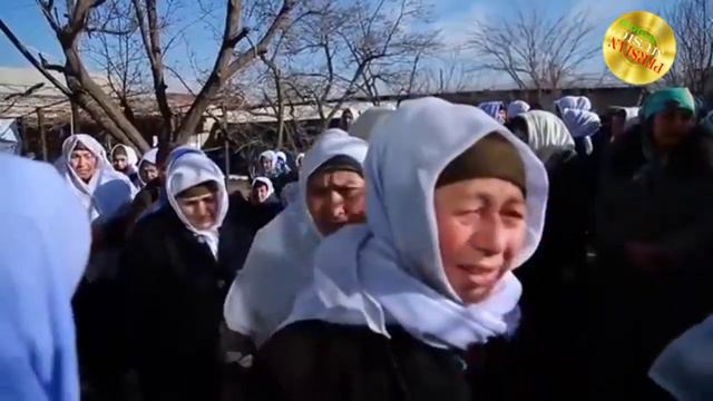 Дамирбек Олимов - Зиндаги бокист ёрон мераванд / смотреть онлайн