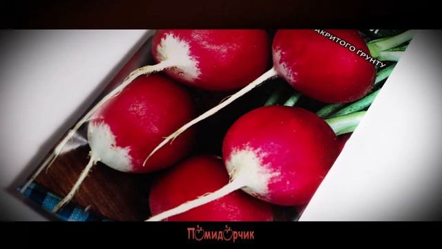 Семена Редиска красная с белым кончиком - Помидорчик смотреть онлайн