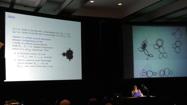 Satellite copies of the Mandelbrot set (Luna Lomonaco) смотреть онлайн