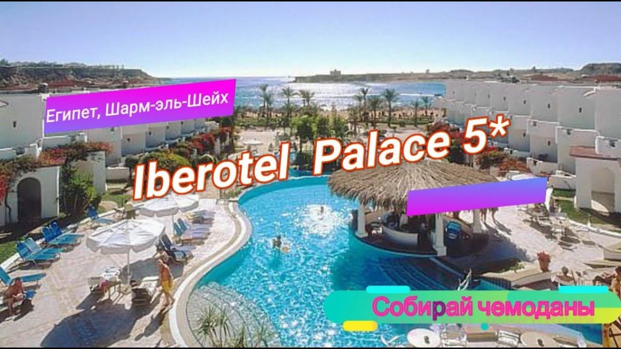 Отзыв об отеле Iberotel Palace 5* (Египет, Шарм-эль-Шейх) смотреть онлайн