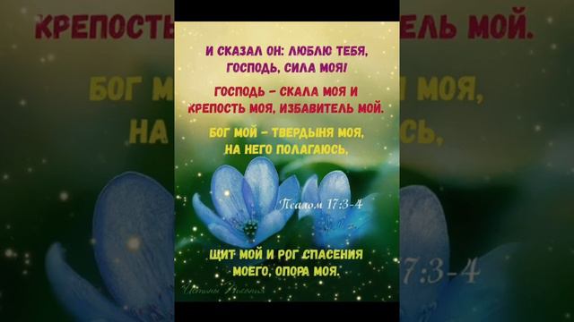 БЛАГОСЛАВЕННОЙ НОВОЙ НЕДЕЛИ! ХРИСТИАНСКОЕ ПОЖЕЛАНИЕ! смотреть онлайн