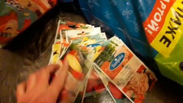 Влог/продолжение истории с очередью в д/с,заказ из финляндии,финские семена лучше наших?!;Ашан смотреть онлайн