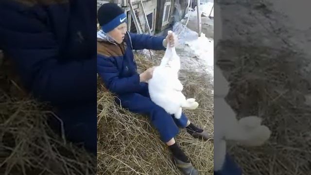 Избавляемся от пробок смотреть онлайн