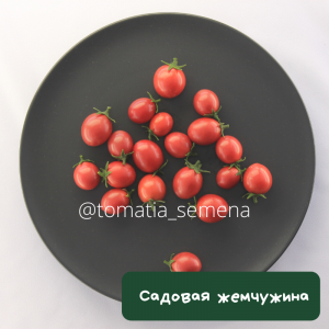 Садовая жемчужина