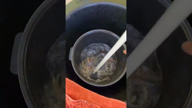 порошок мистик гринвей смотреть онлайн