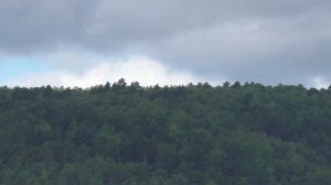 ЛЕЩ НА ФИДЕР. ФИДЕРНОЕ УДИЛИЩЕ KAIDA IMPULSE II