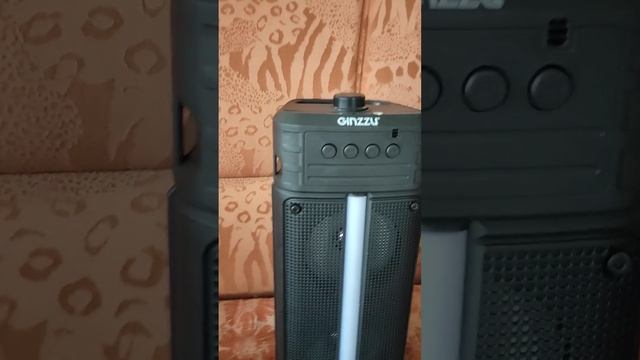 Видеообзор на портативную колонку Ginzzu смотреть онлайн