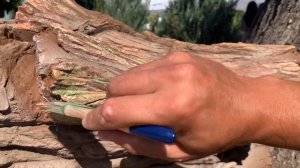 Как Расписать Арт бетон под дерево имитация фактуры дерево это очень просто ?