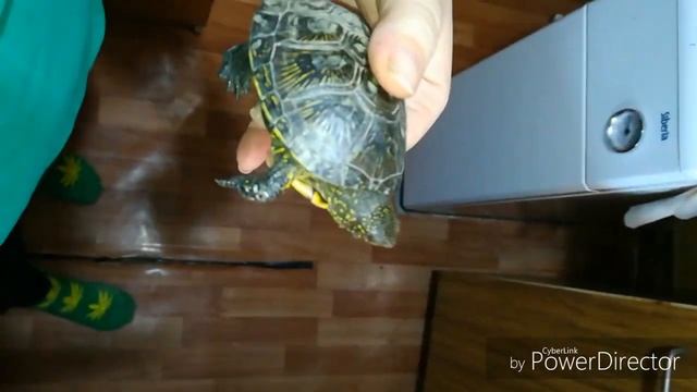 Очень вкусная пп-запеканка из лаваша и фарша. 150ккал на 100г. смотреть онлайн
