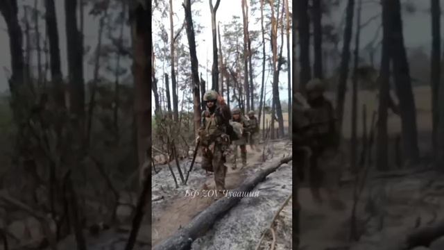 СВОи смотреть онлайн