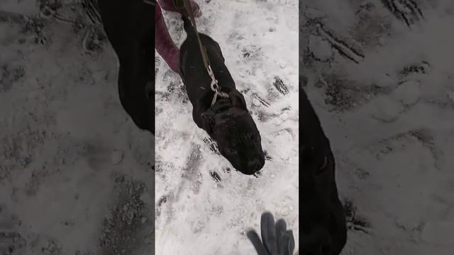 VID-20230117-WA0000.mp4 смотреть онлайн