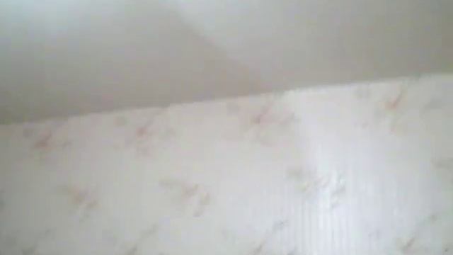 Пушкиногорье смотреть онлайн