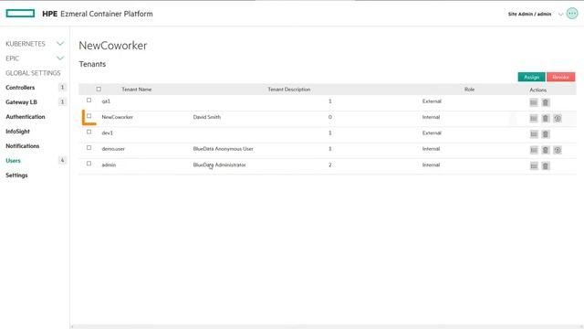 Create a Kubernetes User - HPE Ezmeral Container Platform смотреть онлайн