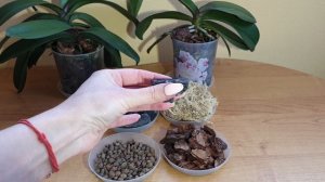 Лучший грунт для орхидей || Во что посадить орхидею