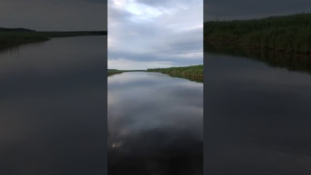 Прогулка на катере