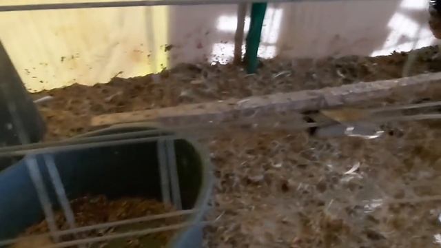Наши эксперименты стоят дорого, но теперь Вы знаете... смотреть онлайн
