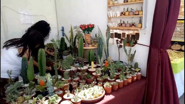ЧИЛИ ВИКУНЬЯ смотреть онлайн