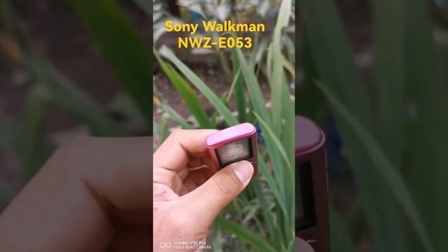Sony Walkman NWZ-E053 Player Musik смотреть онлайн