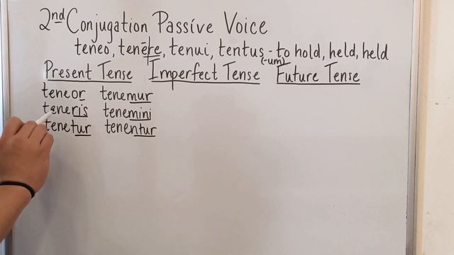 2nd Conjugation Passive Voice - Present, Imperfect, & Future Tenses смотреть онлайн