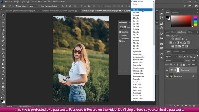 70+ New Wedding 3d luts Color Lookup Free Download | Editor Belal смотреть онлайн