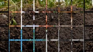 ЛУГ- природное сообщество. Экосистема. Виды. Растения. Животный мир. Охрана.