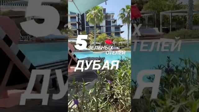 Все о зеленом Дубае в описании к видео! #shorts смотреть онлайн